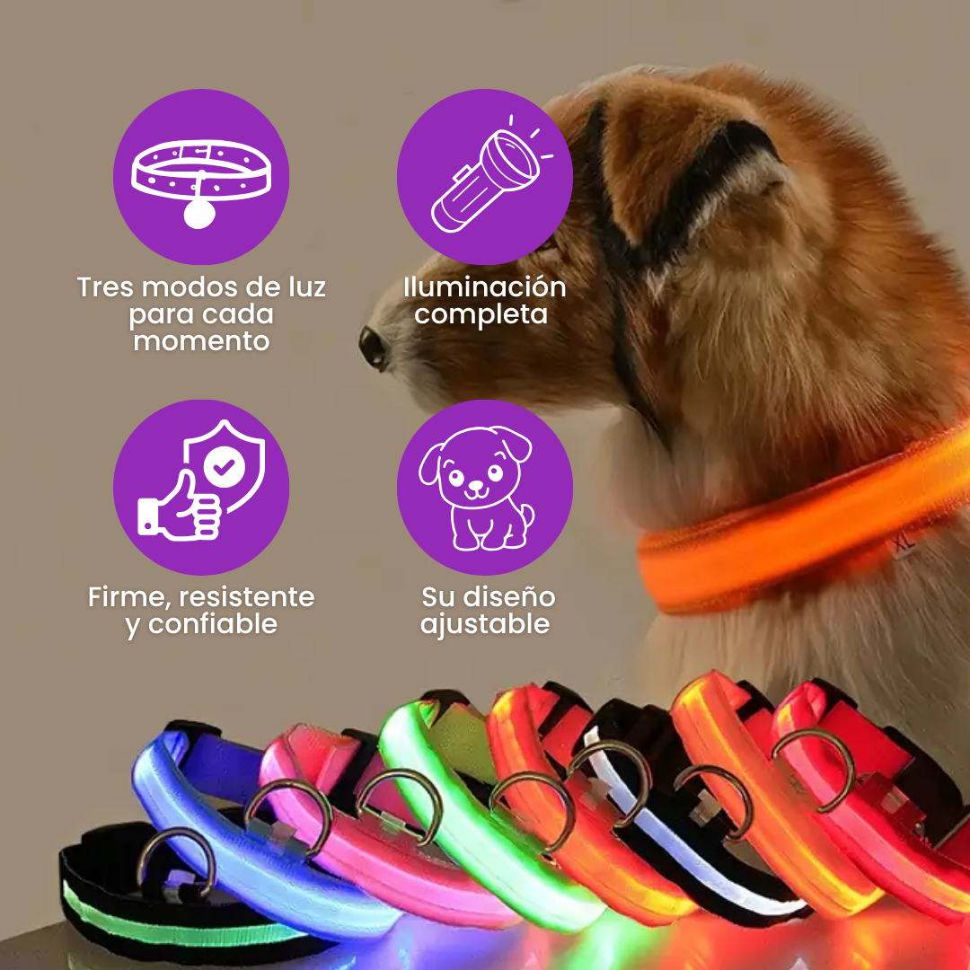 Glow Style: El Collar que Brilla con Luz Propia 💎🌈🐕
