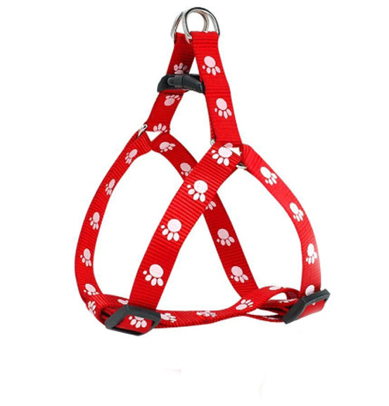 🦮 Cuerda & Arnés para Mascotas (2.0 cm x 120 cm)