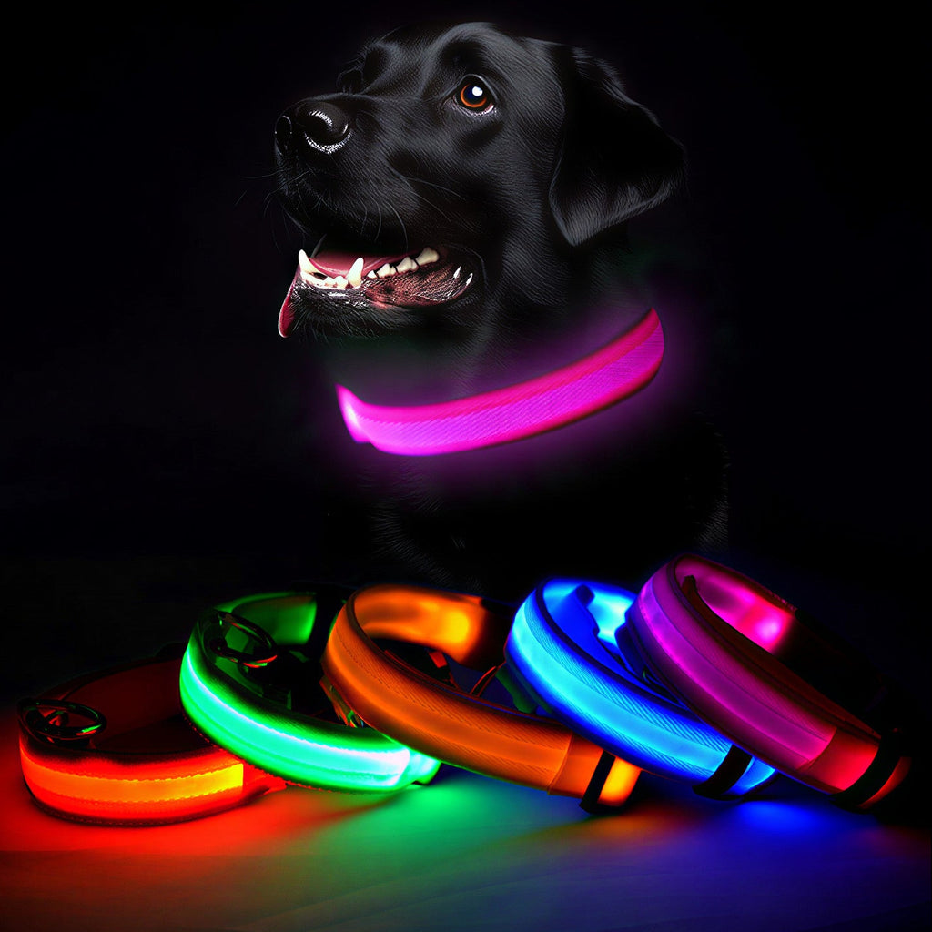 Glow Style: El Collar que Brilla con Luz Propia 💎🌈🐕