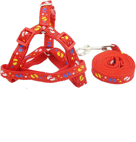 🦮 Cuerda & Arnés para Mascotas (2.0 cm x 120 cm)