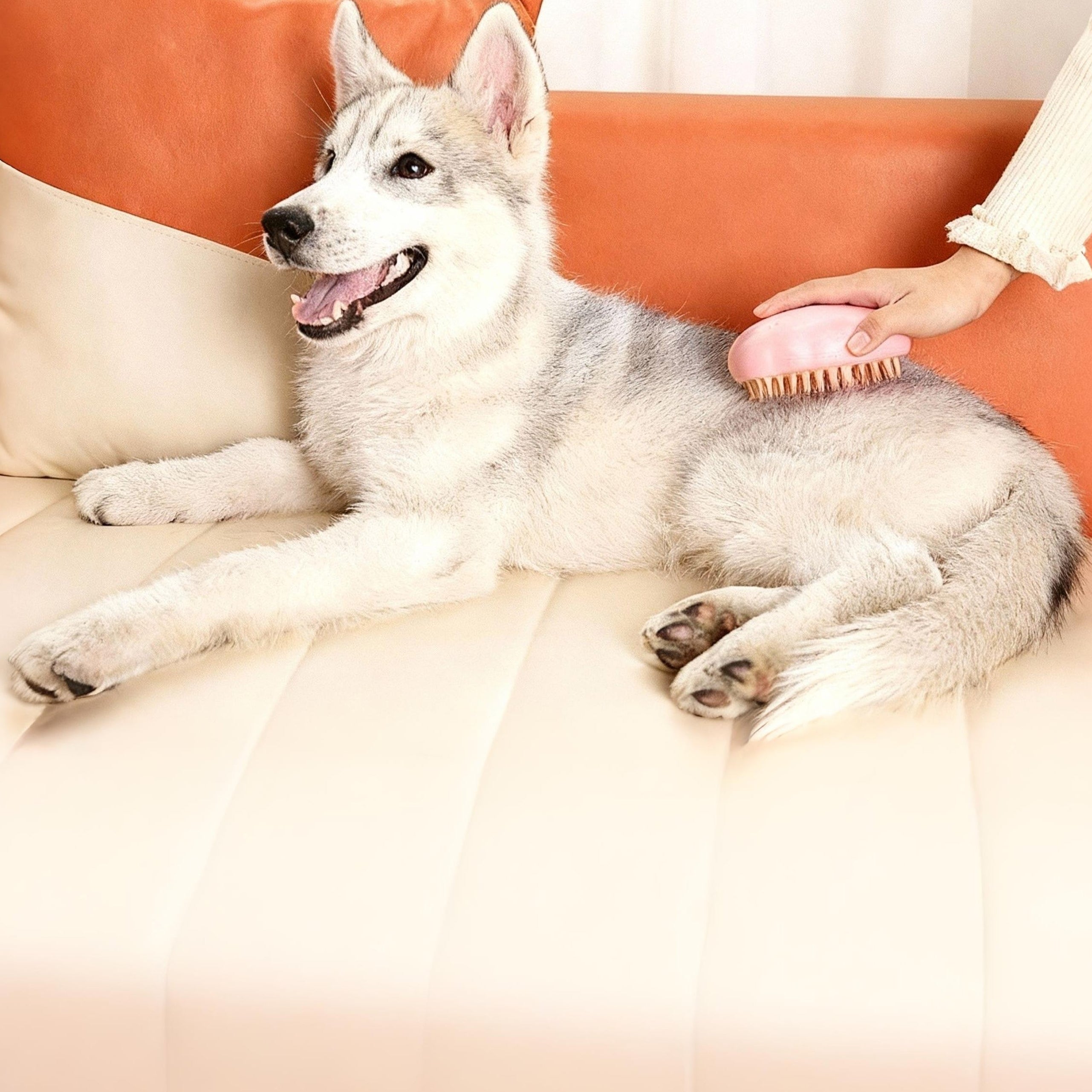 💨 PATITAS | Cepillo de Vapor Quitapelos Pro Rosa ⚡🐾