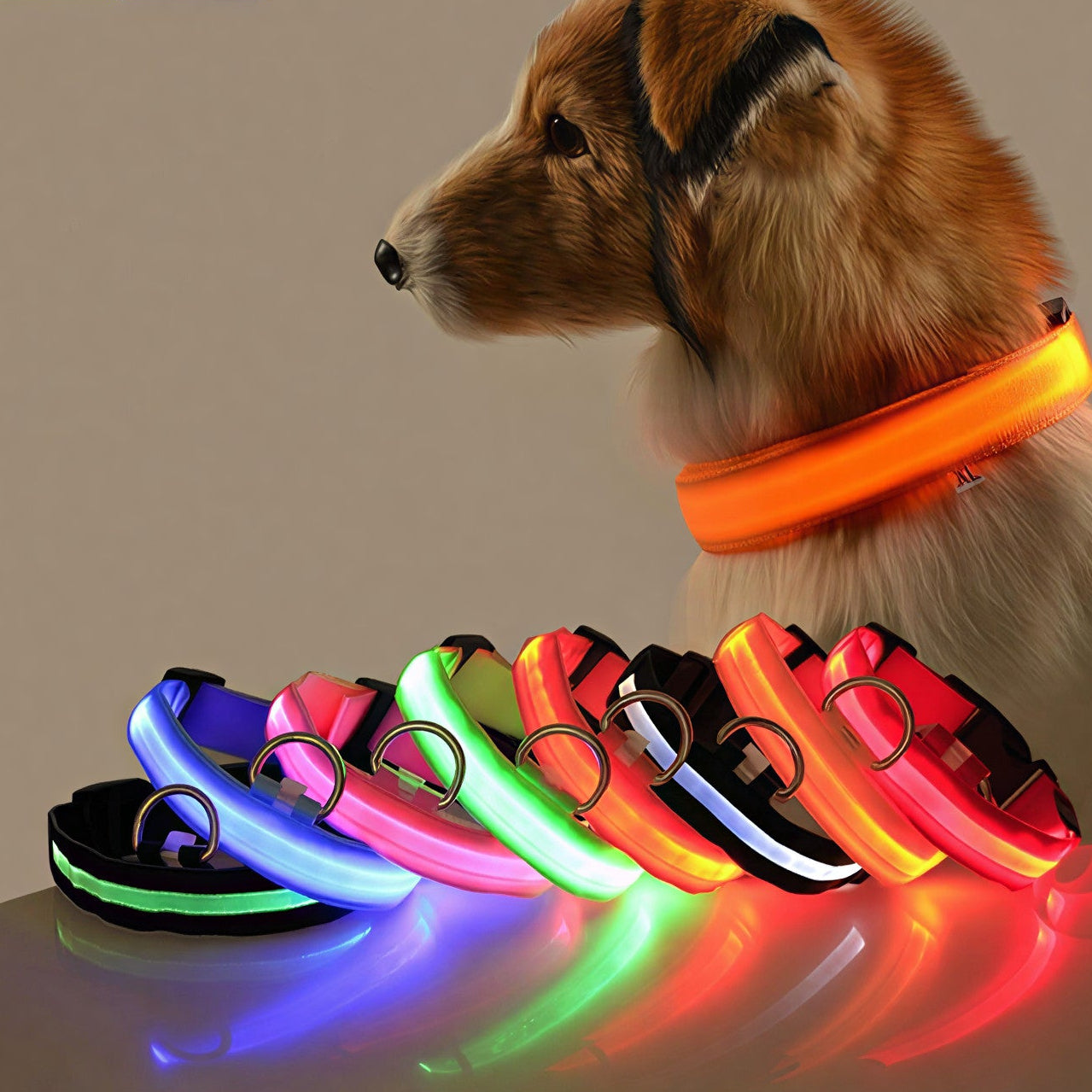 Glow Style: El Collar que Brilla con Luz Propia 💎🌈🐕
