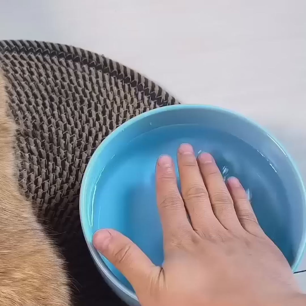 🧤💆‍♂️🐕💤 Guante Para Mascotas Quitapelos TrueTouch