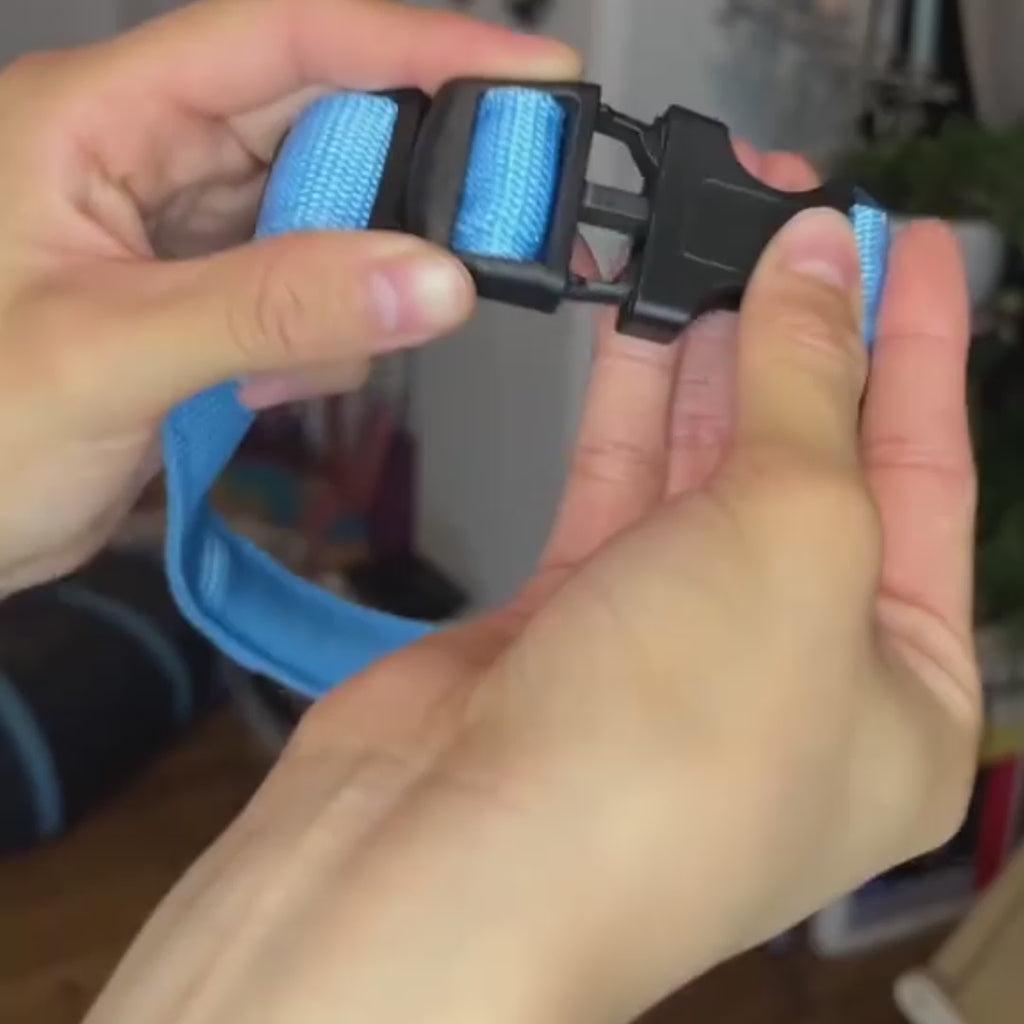 Glow Style: El Collar que Brilla con Luz Propia 💎🌈🐕