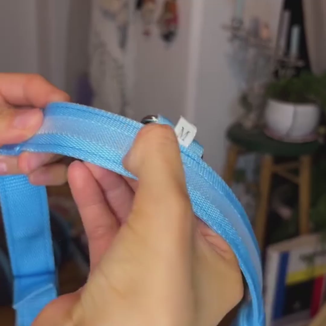 Glow Style: El Collar que Brilla con Luz Propia 💎🌈🐕